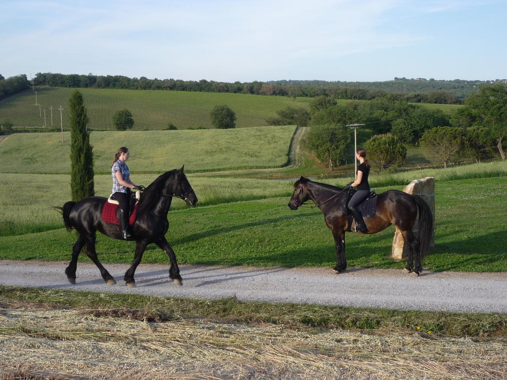 Alloggio per agriturismo I Puntoni
