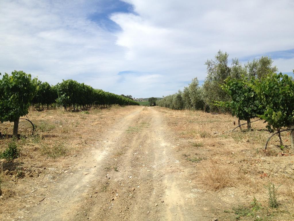 I Puntoni Magliano in Toscana