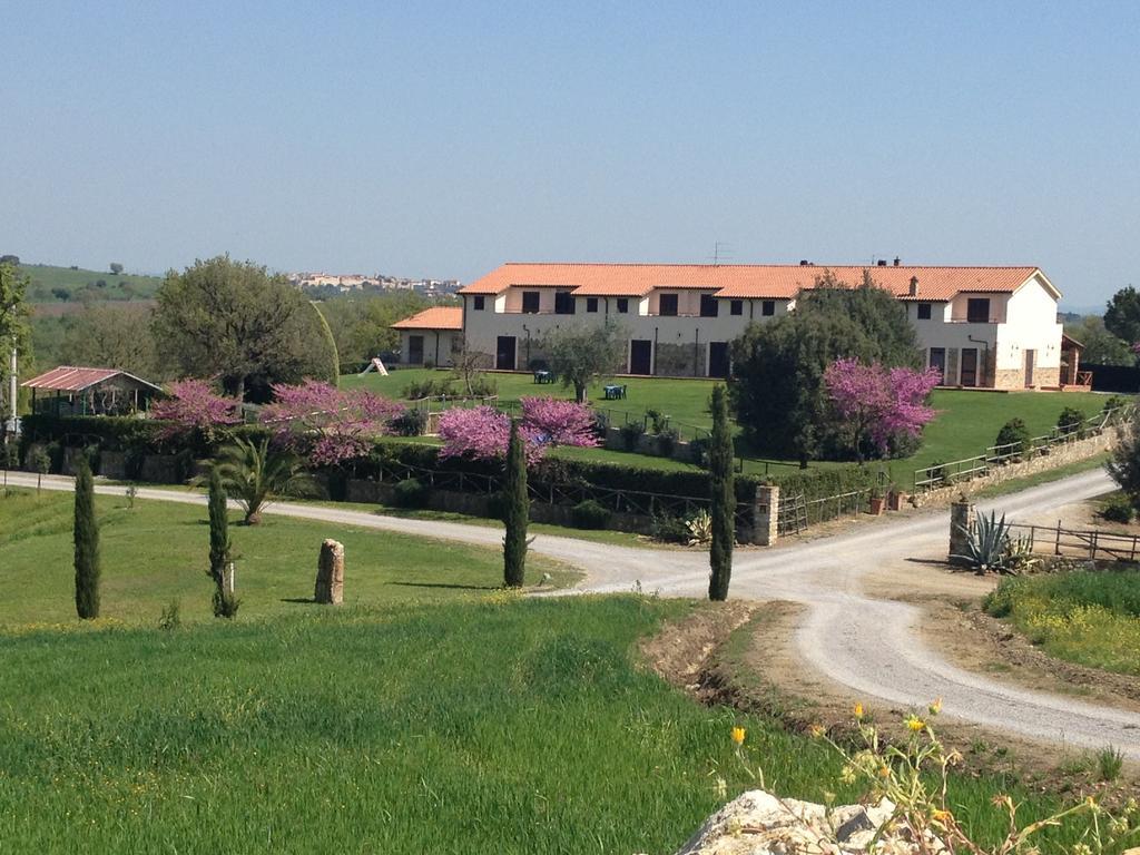 Farm stay I Puntoni Magliano in Toscana