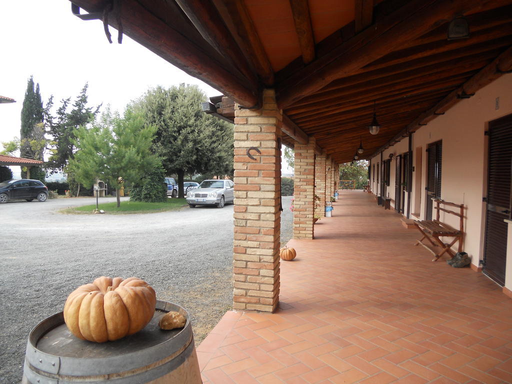 Farm stay I Puntoni Magliano in Toscana