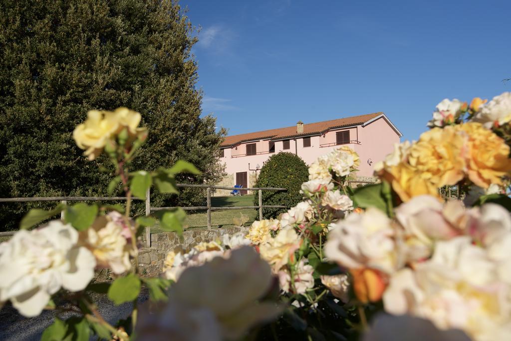 Farm stay I Puntoni Magliano in Toscana